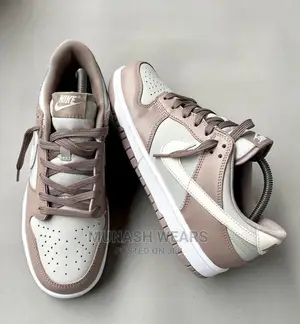 Sb Dunk Low Sneaker