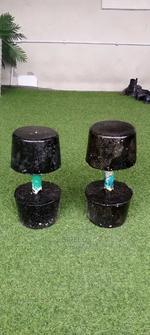 Photo - A Pair of 10kg Dumbbell for Workout