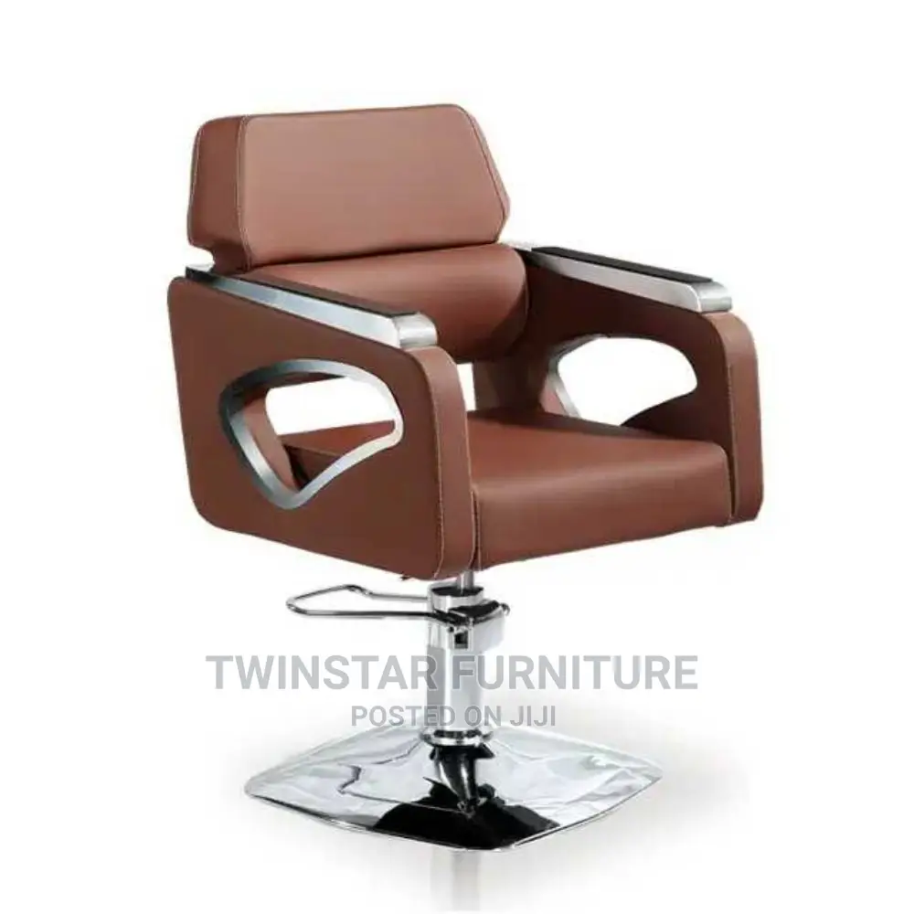 Modern Unisex Salons Chairs