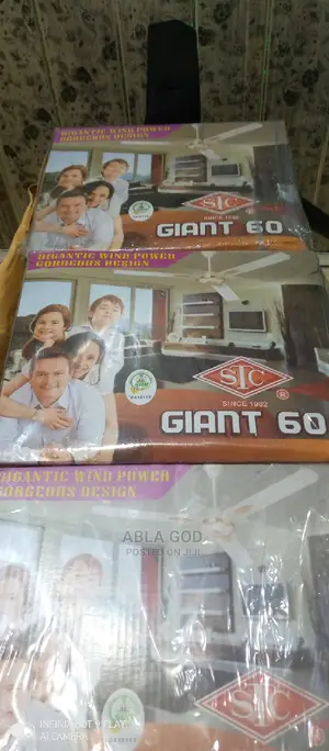 STC Giant 60 Ceiling Fan.