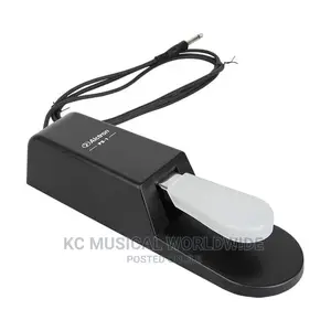 Alctron Sustain Pedal