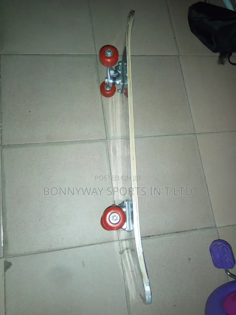 Adult Skating Professional Board