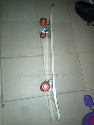 Adult Skating Professional Board