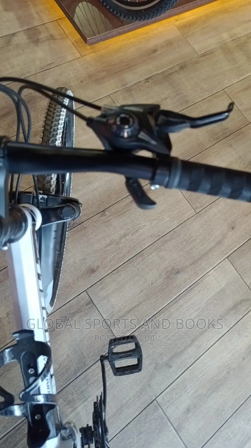 Double Shock Absorber Foldable Adult Bicycle