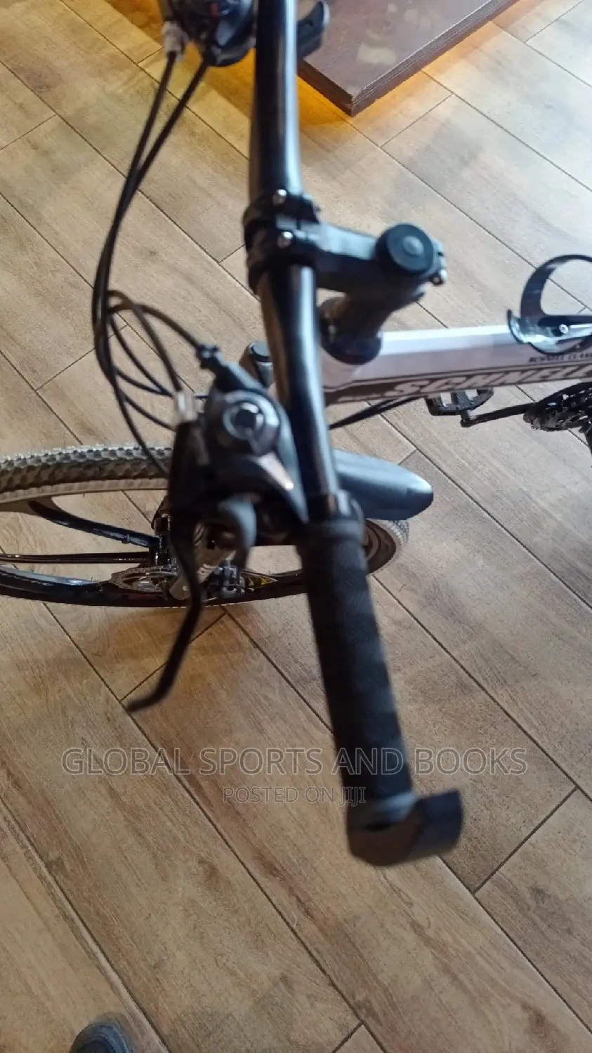 Double Shock Absorber Foldable Adult Bicycle