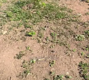 Vacant Plot Measuring 1,750sqm for Sale