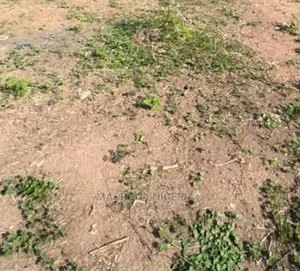 Photo - 920sqm Land (One Half Plot) Directly on Iju Rd