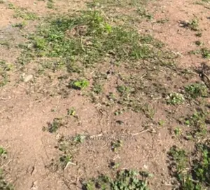 Photo - For Sale; 4 Half Acres of Land Directly on Iju Road