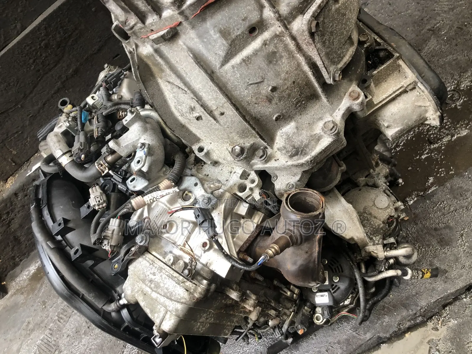 Lexus Engine
