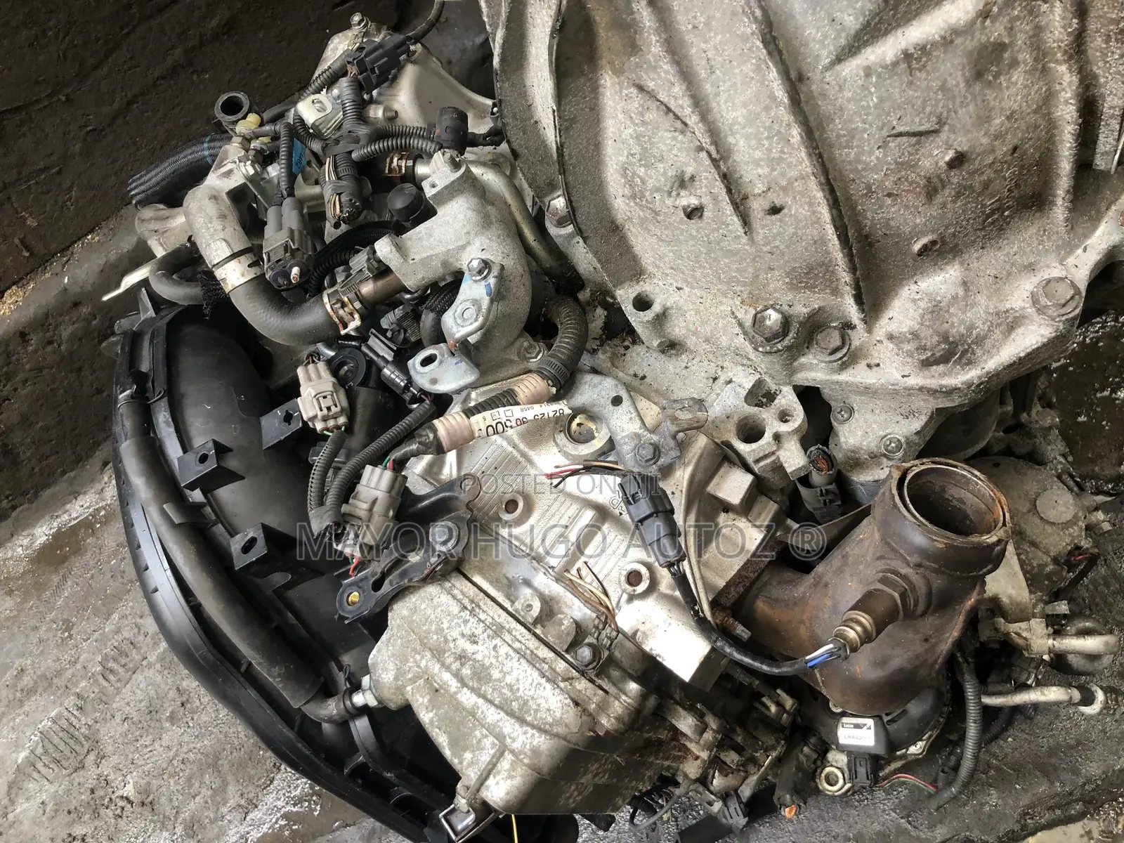 Lexus Engine