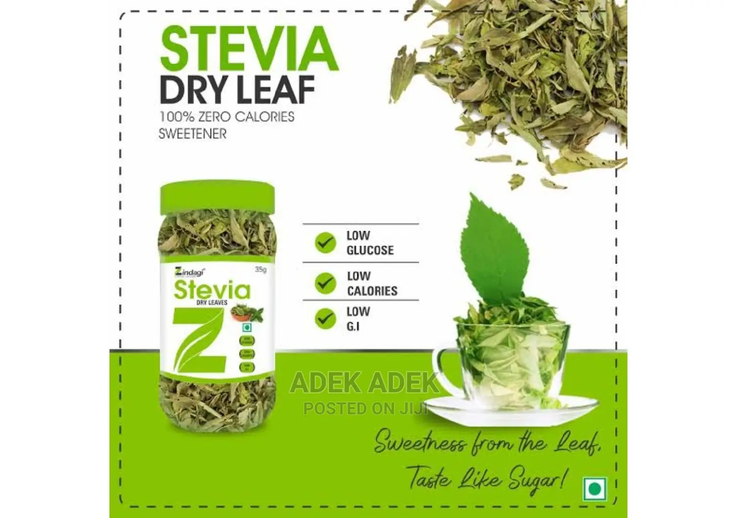 Stevia Plants Available in Quantity