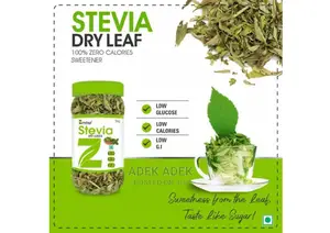 Stevia Plants Available in Quantity