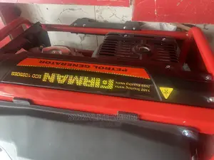 Firman Automatic Generator Eco 10990es
