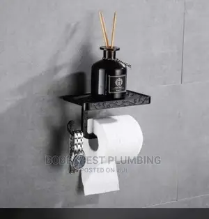 Professional Plumber