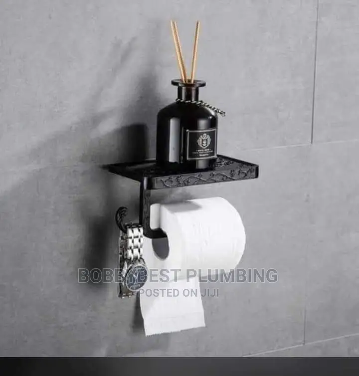 Professional Plumber