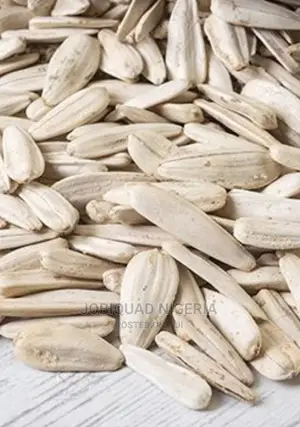 Sunflower Seeds Organic 250g