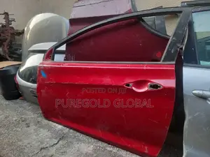 Hyundai Elantra Coup 2011 Model Door