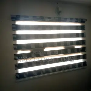 Day and Night