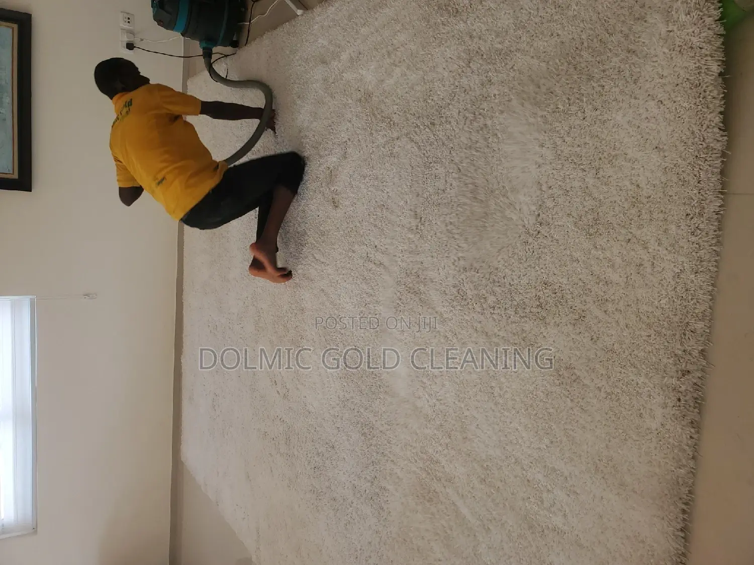Rug Cleaning.