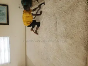 Rug Cleaning