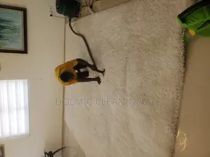 Professional Carpet Cleaner