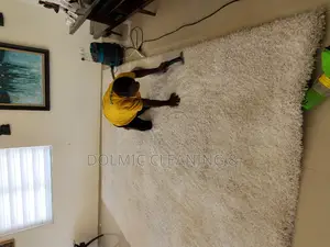 Carpets Cleaning
