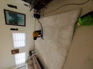 Carpets Cleaning