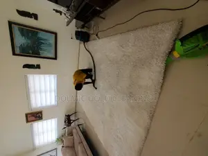 Carpets Cleaning