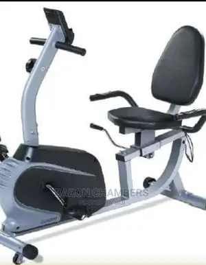 Recumbent Bike