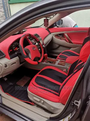 Camry Muscle Interior Work