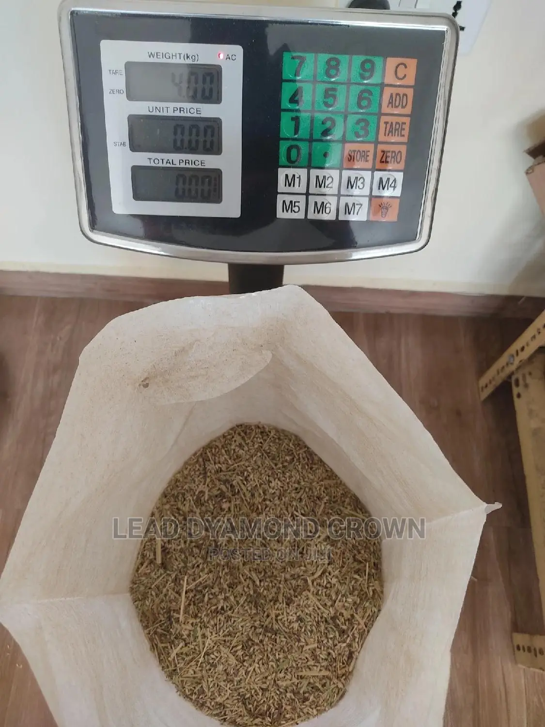 Brachiaria Grass Seeds