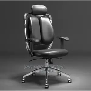Brand New Lumbar Support Kidney Chair
