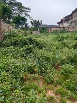 2 and Half Plot at Enugu Ukwu