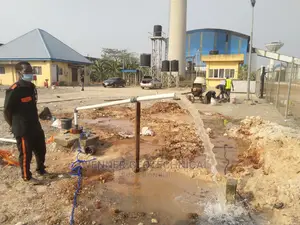 Borehole Drilling and Geophysical Survey