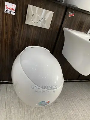 Egg Shape Wall Hung WC