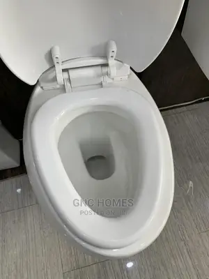 Egg Shape Wall Hung WC