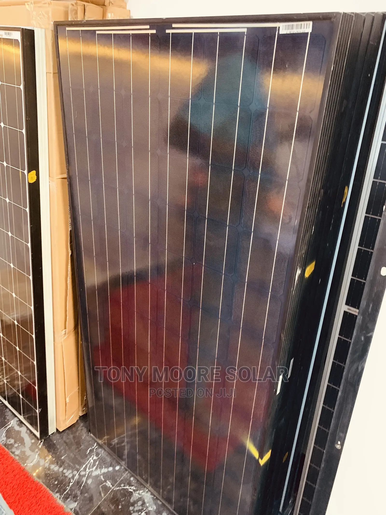 300w Trina Solar Panel Black