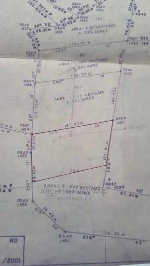 Surveyor and Architect