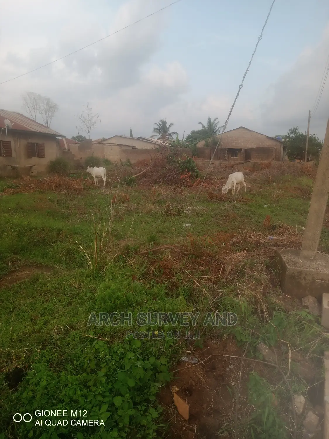Surveyor and Architect
