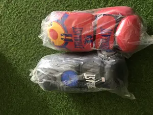 Everlast Boxing Gloves