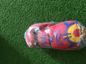 Everlast Boxing Gloves