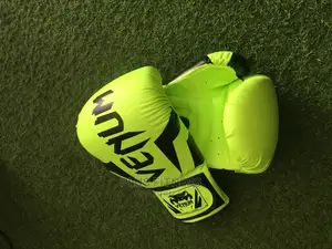 Venum Boxing Gloves
