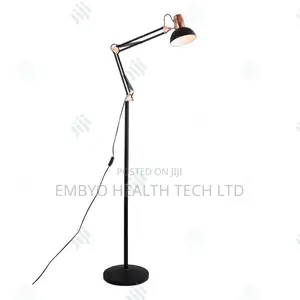 Angel Poise Lamp