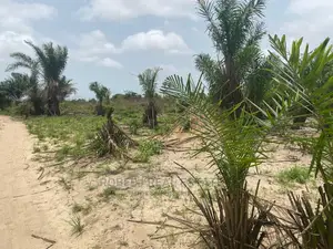 20 Plots Piece of Your Own Paradise