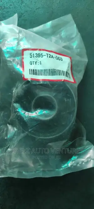 Lower Arm Bushing Honda Accord 2013 Model