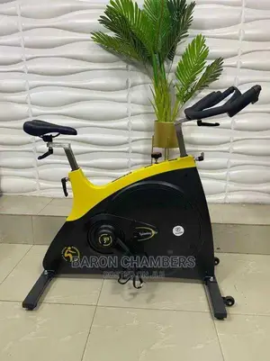 Commercial Execise Stationary Bike