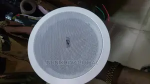Ceiling Speaker 30watts