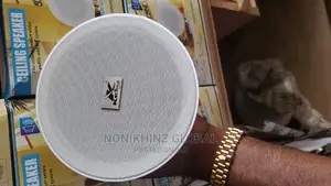 Ceiling Speaker 30watts
