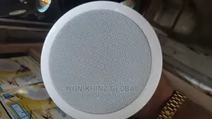 Ceiling Speaker 30watts