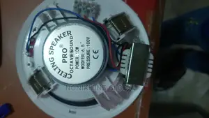 10watt Ceiling Speaker
